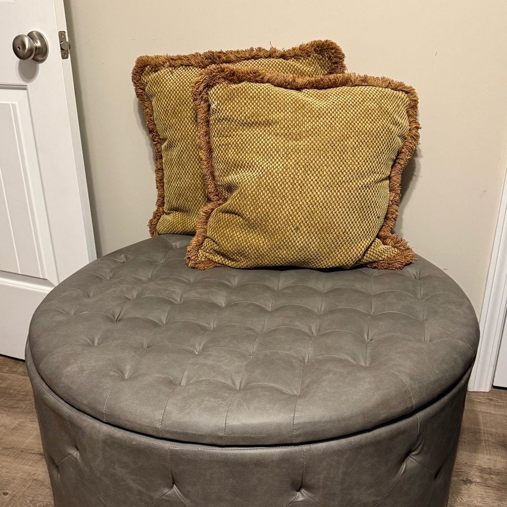 2 18x18 inch pillows.